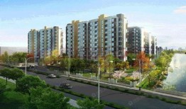 澧县汀兰湾最新爆料